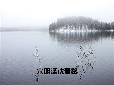 主角是沈青黎宋明泽的小说叫什么名字宋明泽沈青黎小说免费阅读