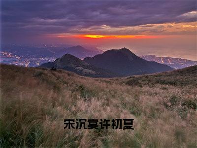 宋沉宴许初夏（许初夏宋沉宴全文在线阅读）-宋沉宴许初夏（许初夏宋沉宴）免费阅读无删减完整版