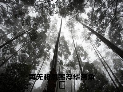 再无相思寄浮华萧承瑄（祝清月萧承瑄）全文免费阅读无弹窗大结局_再无相思寄浮华萧承瑄免费阅读无弹窗最新章节列表_笔趣阁