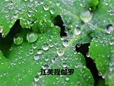 江芙程伽罗（江芙程伽罗）精彩小说-小说江芙程伽罗全文无删减版免费阅读