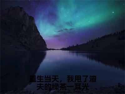 重生当天，我甩了渣夫的绿茶一耳光全文免费阅读大结局_苏意窈陆廷时已完结全集重生当天，我甩了渣夫的绿茶一耳光大结局小说