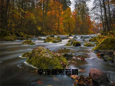 李泽霖宋若曦（宋若曦李泽霖）热门小说盘点在线阅读-李泽霖宋若曦小说无弹窗