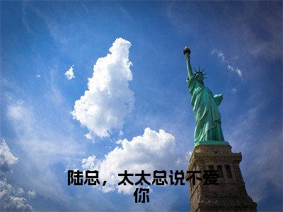 陆总，太太总说不爱你（南浅陆北墨）小说全文免费阅读无弹窗-陆总，太太总说不爱你小说全文免费阅读大结局笔趣阁