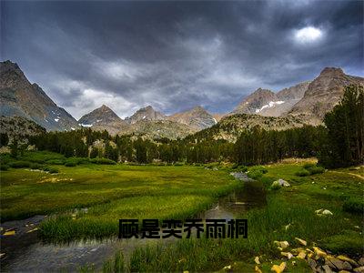 顾是奕乔雨桐小说全文免费阅读（乔雨桐顾是奕）免费阅读全文免费阅读无弹窗大结局