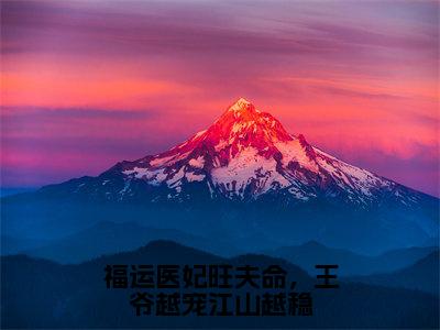 福运医妃旺夫命，王爷越宠江山越稳免费阅读全文免费阅读无弹窗大结局_（沈冬素凌墨萧小说免费阅读）福运医妃旺夫命，王爷越宠江山越稳最新章节阅读