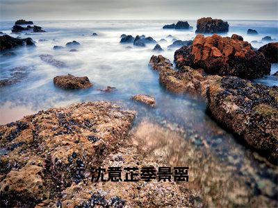 沈意芷季景离小说（沈意芷季景离）全文免费阅读无弹窗大结局_（沈意芷季景离免费阅读全文大结局）最新章节列表