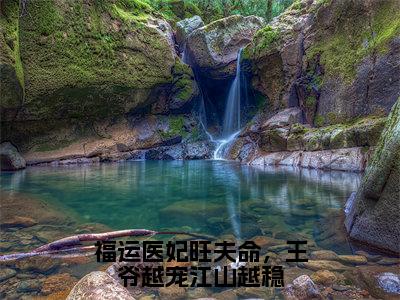 福运医妃旺夫命，王爷越宠江山越稳（沈冬素凌墨萧）小说全文免费读无弹窗大结局_福运医妃旺夫命，王爷越宠江山越稳小说全文免费阅读