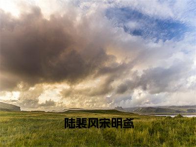 高赞小说陆裴风宋明鸢（陆裴风宋明鸢）完结阅读_陆裴风宋明鸢陆裴风宋明鸢免费看全文