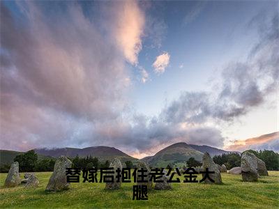 替嫁后抱住老公金大腿免费小说（姜沫）全本免费阅读-替嫁后抱住老公金大腿最新章节列表