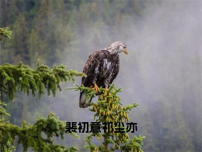 裴初意祁尘亦（祁尘亦裴初意）全文免费阅读最新章节大结局_裴初意祁尘亦最新章节列表_笔趣阁