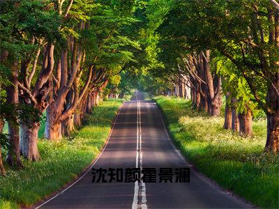 沈知颜霍景澜（霍景澜沈知颜）最新章节在线阅读-老书虫推荐沈知颜霍景澜小说