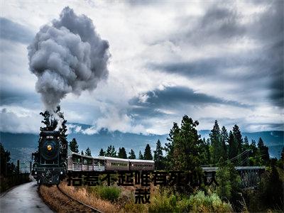 招惹不起唯有死心认栽小说免费阅读全文在线阅读，杨易孟晓的小说在线阅读全文