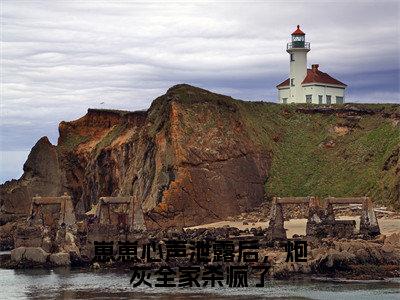 崽崽心声泄露后，炮灰全家杀疯了小说全文免费阅读正版赵思思免费阅读无弹窗