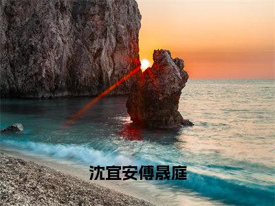 小说名字是：沈宜安傅晟庭小说免费阅读无弹窗，小说名字是：沈宜安傅晟庭的小说在线阅读无删减