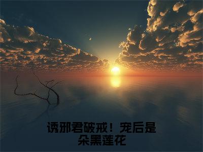 诱邪君破戒！宠后是朵黑莲花全文免费阅读无弹窗_（季千澜楚凌叶）全文在线阅读大结局