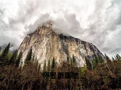 怀昱萧重驰全文免费阅读无弹窗大结局_（萧重驰怀昱）怀昱萧重驰热门章节在线阅读笔趣阁（萧重驰怀昱）