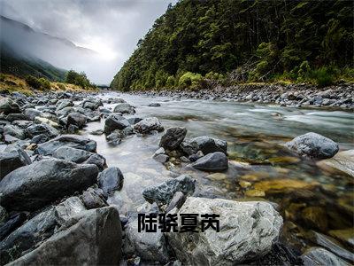 小说陆骁夏芮（夏芮陆骁小说免费阅读）完结阅读_陆骁夏芮全文免费阅读最新章节大结局