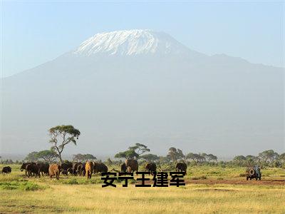 安宁王建军小说最新章节-王建军安宁全文免费阅读无弹窗大结局