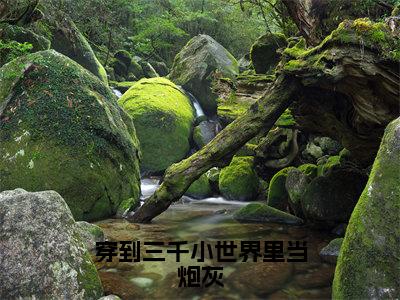 （热推新书）《穿到三千小世界里当炮灰》全文免费阅读最新章节大结局-苏千寻无弹窗阅读