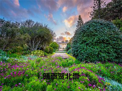 晴雨贺北崇晴雨贺北崇小说全文在线阅读无弹窗大结局_（晴雨贺北崇全文在线阅读无弹窗）