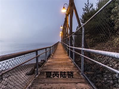 《夏芮陆骁》主角是夏芮陆骁全文免费阅读已完结