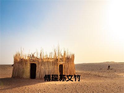 傅琛苏文竹（苏文竹傅琛）全文免费阅读无弹窗大结局_傅琛苏文竹（苏文竹傅琛）全文阅读_笔趣阁