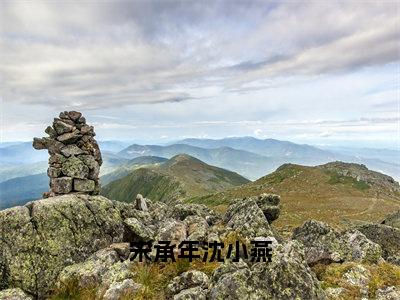 宋承年沈小燕（沈小燕宋承年）全文免费阅读_（沈小燕宋承年）小说宋承年沈小燕最新章节阅读