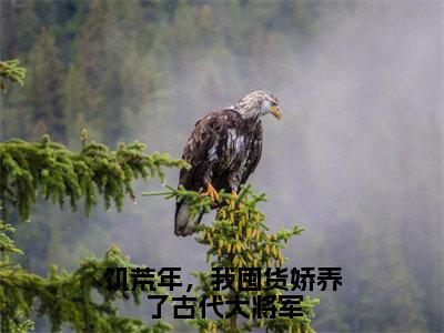 叶苜苜（饥荒年，我囤货娇养了古代大将军）全文免费阅读无弹窗大结局_叶苜苜说免费阅读最新章节列表