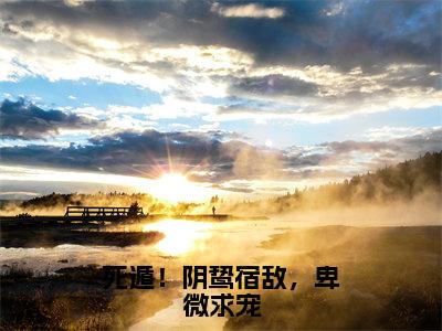 小说《江染顾砚》全文免费阅读无弹窗-死遁！阴鸷宿敌，卑微求宠小说全文在线赏析