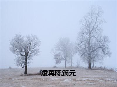 陈筠元凌苒（凌苒陈筠元）免费小说-（凌苒陈筠元）完结版在线阅读