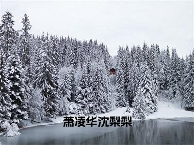 沈梨梨萧凌华小说萧凌华沈梨梨完整版阅读萧凌华沈梨梨全文在线赏析