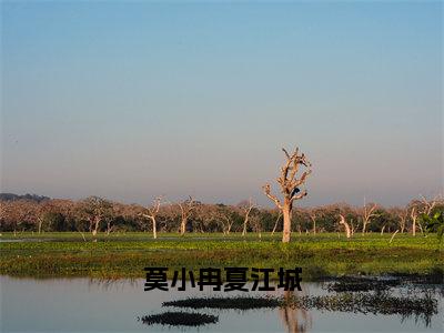 莫小冉夏江城夏江城莫小冉免费阅读无弹窗最新章节列表-（莫小冉夏江城）夏江城莫小冉全文免费阅读大结局笔趣阁