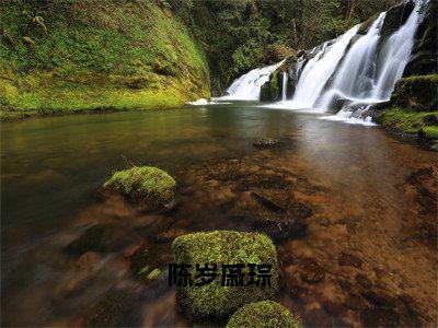 戚琮陈岁的小说免费阅读（陈岁戚琮的小说免费阅读）全文完整版免费阅读