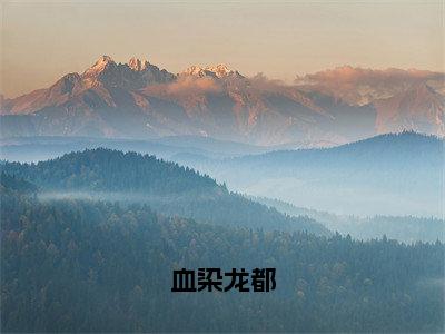 （血染龙都）高泽小说全文免费阅读无弹窗大结局_高泽（血染龙都）最新章节列表笔趣阁