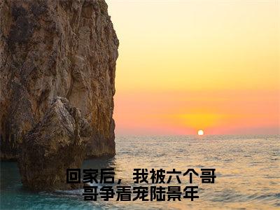 回家后，我被六个哥哥争着宠陆景年（陆景年）全文免费读无弹窗大结局_（陆景年免费小说）回家后，我被六个哥哥争着宠陆景年无弹窗最新章节列表