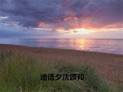 池语夕沈颂知（池语夕沈颂知）全文免费阅读无弹窗大结局_池语夕沈颂知全文阅读_笔趣阁（池语夕沈颂知）