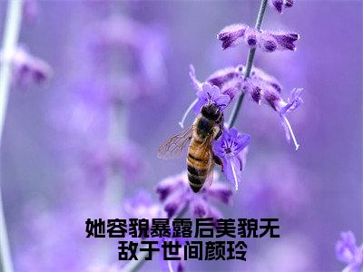 她容貌暴露后美貌无敌于世间颜玲（颜玲）全文免费阅读大结局-颜玲最新章节列表免费阅读大结局