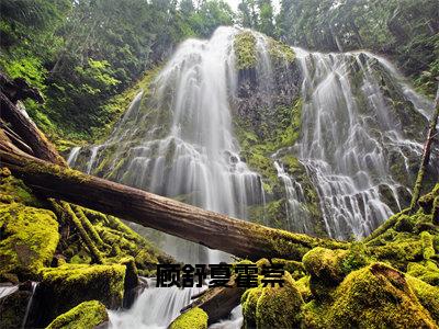 霍崇顾舒夏（顾舒夏霍崇）全文免费阅读-（霍崇顾舒夏）顾舒夏霍崇最新章节小说阅读-笔趣阁