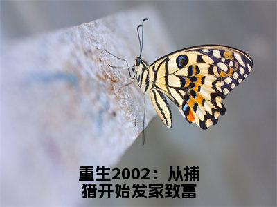 重生2002：从捕猎开始发家致富（陈凡）全文免费阅读-（陈凡无弹窗阅读）最新章节小说免费阅读