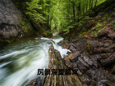 厉景深夏慕棠小说（厉景深夏慕棠）全文免费阅读_（厉景深夏慕棠）厉景深夏慕棠小说最新章节列表