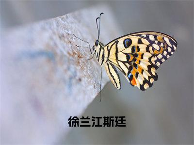 徐兰江斯廷（徐兰江斯廷）小说全文无删减版_徐兰江斯廷最新章节列表_笔趣阁（徐兰江斯廷）