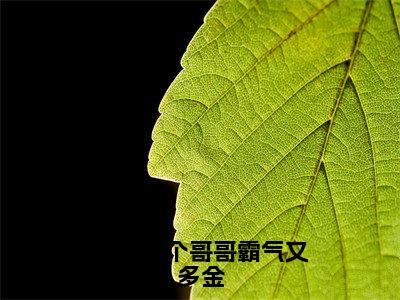 我有七个哥哥霸气又多金小说最新章节-夏映雪季雨良全文免费阅读无弹窗大结局