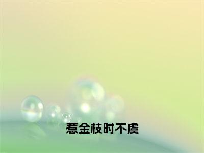 主角为时不虞的小说（惹金枝时不虞）无弹窗大结局-最新小说惹金枝时不虞全文阅读最新章节列表_笔趣阁