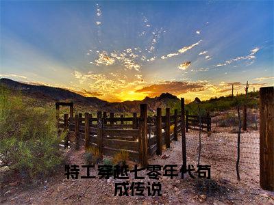 特工穿越七零年代苟成传说（夏天）全文免费阅读无弹窗大结局_夏天无弹窗最新章节列表_笔趣阁