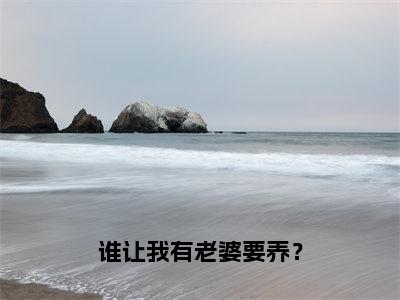 （余呦傅归南小说完整版）谁让我有老婆要养？全文免费阅读-（谁让我有老婆要养？）余呦傅归南小说最新章节列表