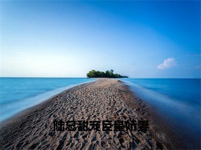 陆总甜宠巨星娇妻小说安宁陆怀瑾无弹窗免费阅读-最新小说陆总甜宠巨星娇妻（安宁陆怀瑾）全文阅读