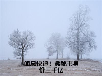 楼藏月闻延舟全文免费（闻总快追！楼秘书身价三千亿）全文免费阅读无弹窗大结局_（闻总快追！楼秘书身价三千亿全文免费楼藏月闻延舟）