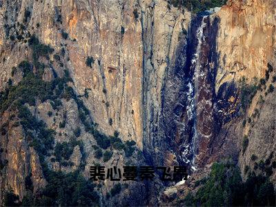 裴心蔓秦飞昂全文免费阅读无弹窗大结局_裴心蔓秦飞昂最新章节列表笔趣阁