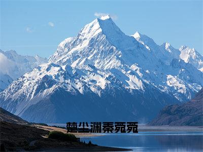 楚尘渊秦菀菀（秦菀菀楚尘渊）全文免费阅读_楚尘渊秦菀菀（秦菀菀楚尘渊）最新章节列表笔趣阁