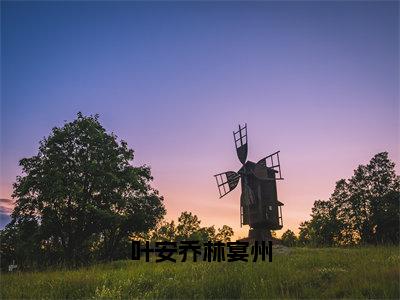 叶安乔林宴州（林宴州叶安乔小说）最新在线阅读_林宴州叶安乔小说免费阅读